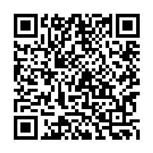 也只有谭宁刚和罗天行不知道韩风还有五兽底牌二维码生成