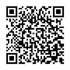 也只有这个小女孩有这样的能力在瞬间破除他的虚幻世界二维码生成