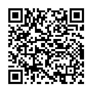 也只有这些性能强悍到极点的水晶大脑组合到一起二维码生成