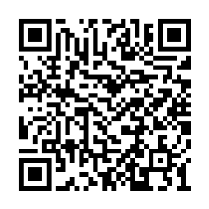 也只有这地书才能破开这人参果树之下的土地吧二维码生成