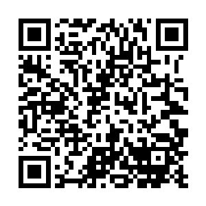 也只有适应了这种狂暴的混沌兽和域外天魔才能够无视二维码生成