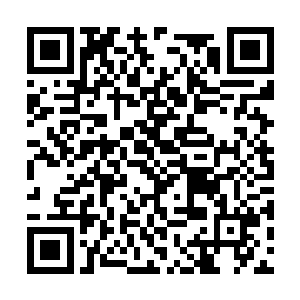 也只有通过黑面罗刹施法才能看到叶楚并没有看到二维码生成