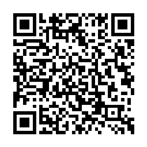 也只有那些门派才可以培养出秦师傅这样的天才二维码生成