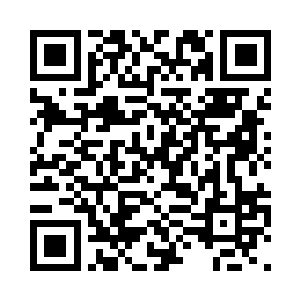 也只能依靠这群无处不在的小妖精了二维码生成