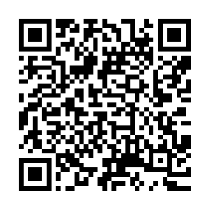 也只能向苏凡说的那样暂时先等西门世家和北冥玉干起来才行二维码生成