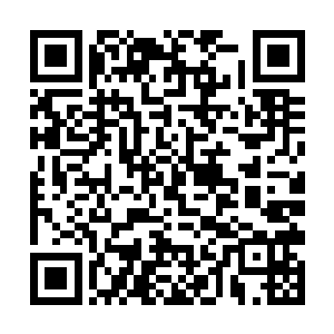 也只能在苏醒的半步魔帝帝魔的吞噬下全部血祭于此二维码生成