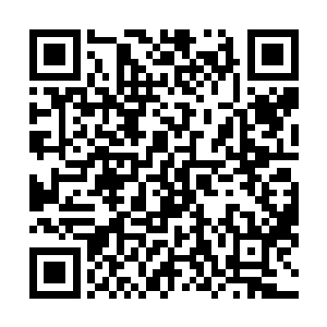 也只能是以小松鼠的形象极不情愿地站在张潇晗的肩旁上二维码生成