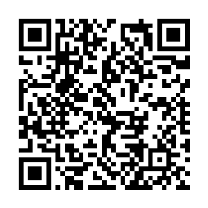 也只能说宗门内出产的各种灵植不再拿出去出售了二维码生成