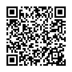 也可以冷静下来仔细的考虑一下怎么充分利用好这一证据二维码生成