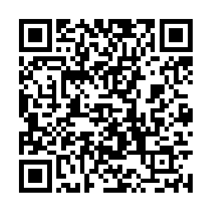也可以在战斗中让武者拥有更强的防御和卸力能力二维码生成