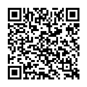 也可以将这种爽在虚拟世界中得到延续……当然二维码生成