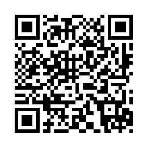 也可以是一头猪被一头猛虎给锁定了一样二维码生成