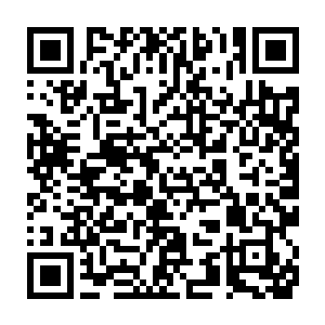 也可以暂时接收到贵界人民的愿望……只要反对并界的人超过半数二维码生成