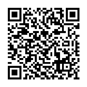 也可以清楚看到玄神宫的确在一个怪兽的肚子里二维码生成