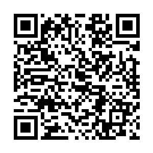 也可以看到后期作品类型化后所缺少的生活气息和婉转连通二维码生成