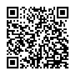 也可以算是对技校教职工们白勺一个折中性的交待二维码生成