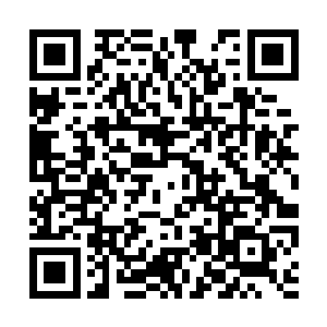 也可以让他们做意面和牛排――你要吃蛋炒饭也行二维码生成