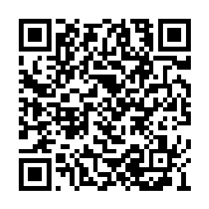 也可以说不可能有战队每次团战都打得这么完美二维码生成