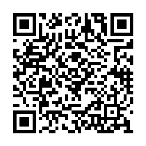 也可以顺便在宴会上看看有没有什么可发展对象二维码生成