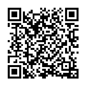 也可毫发无伤回本脉天仙里领取补贴……里里外外都捞到了二维码生成