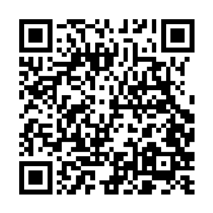 也可能是被当年大楚覆灭的滚滚硝烟吓破了那副文胆二维码生成