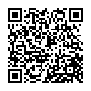 也同样以属于自己的方式在承受着这雷劫的洗礼二维码生成