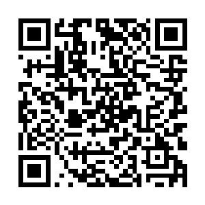 也吸收吞噬了此宝之内的数十万鬼魂和三十七头幡灵二维码生成