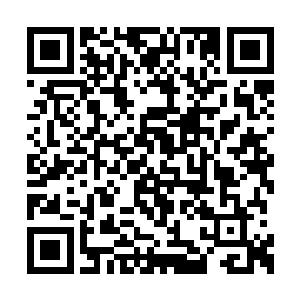 也因为林凡刚才那么大的口气说一分不少的退钱二维码生成