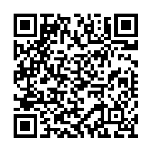 也因而还没有倒下去的那些宾客们的欢呼和喝彩二维码生成