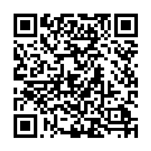 也在一些场合下释放出了一些有别于他之前态度的信号二维码生成