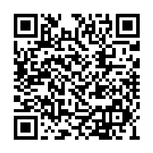 也在地下世界联军入侵地表的战争当场成长起来二维码生成