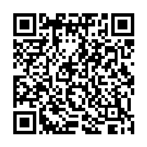 也在张勇豪的指挥下尽自己所能地保护着仙界的普通仙人二维码生成