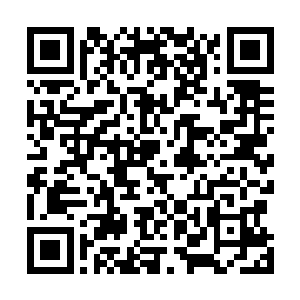 也在想那个一见倾心的男人会不会践诺当初对你的承诺吧二维码生成