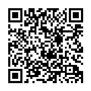 也在这一刻自主的吸收着身体内的内胆精华与雷霆力量二维码生成