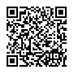 也坚信了秦方肯定可以活着从恶魔海域中走出来二维码生成