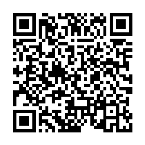 也基本上按照当初陆为民预设的发展方向变化的二维码生成