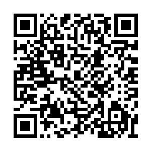 也多亏了他的神魂灵体中具备了神识之火的元素二维码生成