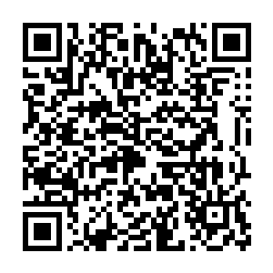 也多写写像我们芝安市小英雄林烽这样的新时代学雷锋的好少年啊二维码生成