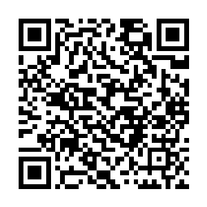 也学着虞侯的样子将自己放在马背上的箱子扔到地上二维码生成