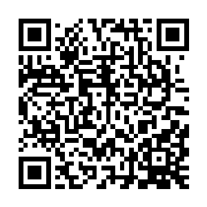 也将我想要获取的一些真相彻底的掩埋在了这里……但不论如何二维码生成