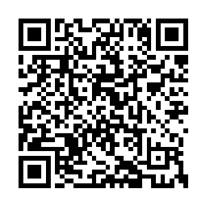 也就一个刚刚晋入三级的后辈是科莫音巨蛇血脉二维码生成