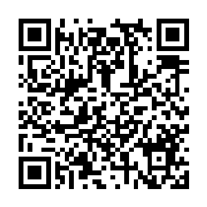 也就一米多点儿最大的那一条有个两米不到了样子二维码生成