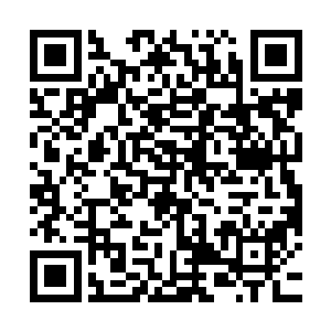 也就三大家族的族长外加洪家花月灵这么四个人是星域巅峰实力二维码生成