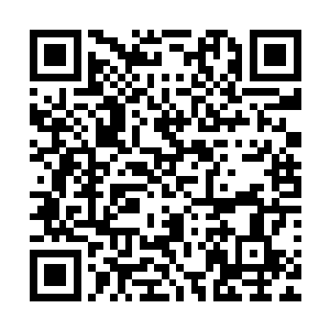 也就不可能会得到那把让摩根激动万分的克莱门斯制作的猎枪二维码生成