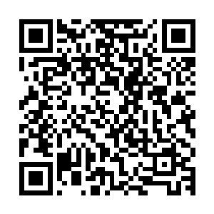 也就剩下那群我们山海界本来就住着的原住民天一道弟子而已了二维码生成