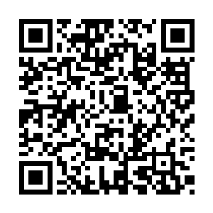 也就只有林尚这位天仙级人物能跟他们谈得上话二维码生成