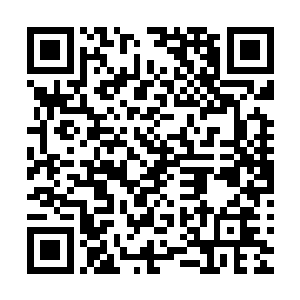 也就只有橙天娱乐的孙总与魔都电影集团公司的赵启发赵总了二维码生成