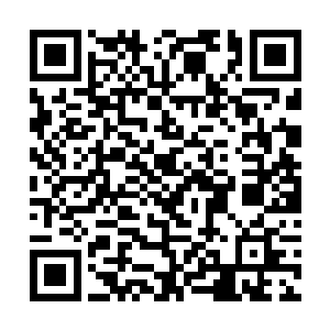 也就只有秦方这样的异类才可以抗衡青蚨毒龙的剧毒二维码生成
