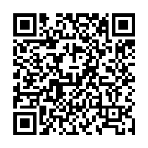 也就只有远古深海巨兽强悍的体魄才能承受这样的毒素二维码生成