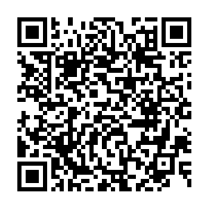 也就只能骗骗那群没有什么鉴别能力的菜鸟和心智未成熟的小学生罢了二维码生成